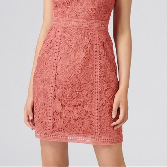 Ever New lace trim dress - Picture 2 of 2